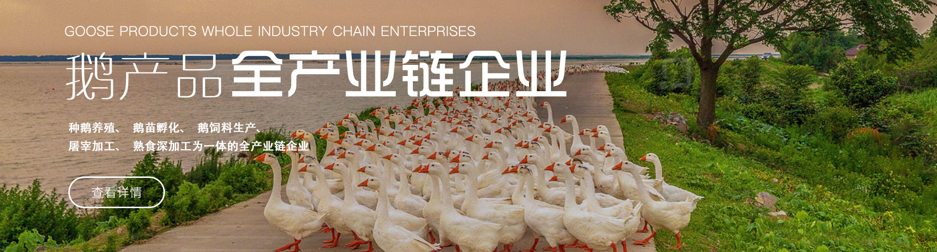 關于鄭州凱興機械有限公司